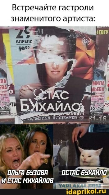 Кота не переубедить