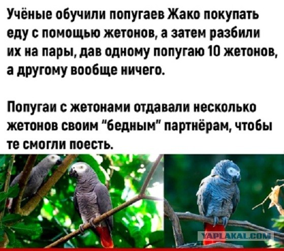 Картинки 21.03.21