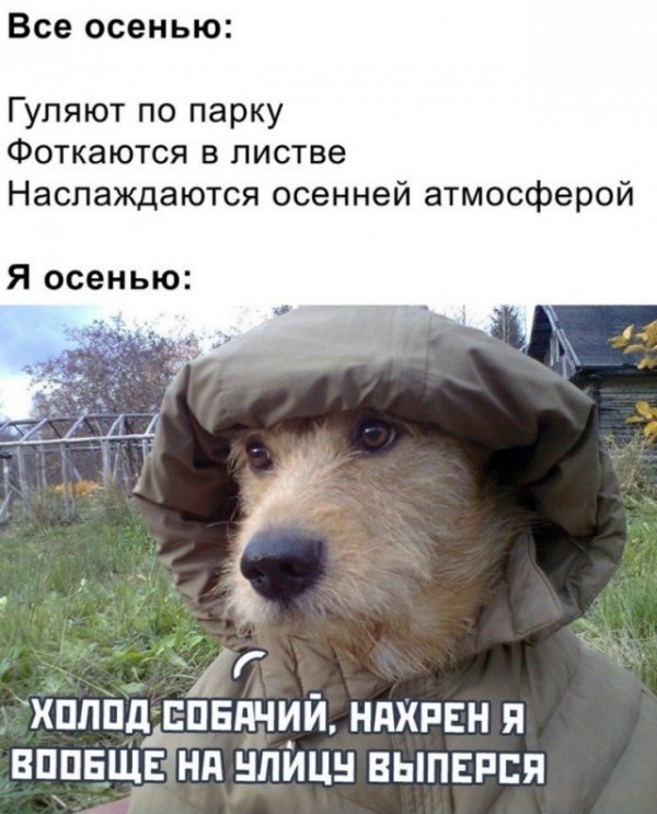 Картинки и мемы 08.10.2021