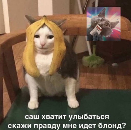 Картинки и мемы для настроения  - 31