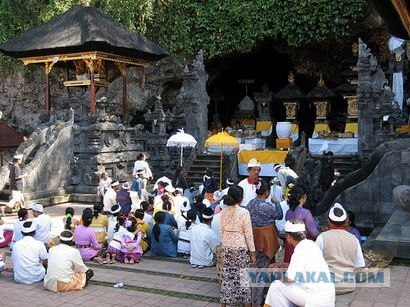 Они живут только 40 лет