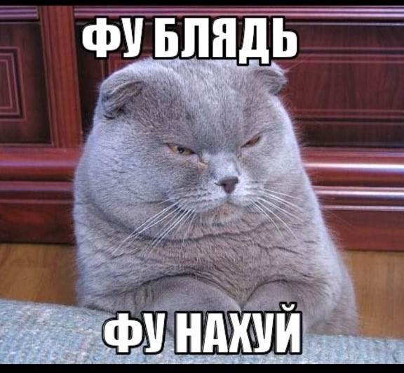 «Получай, Путин»