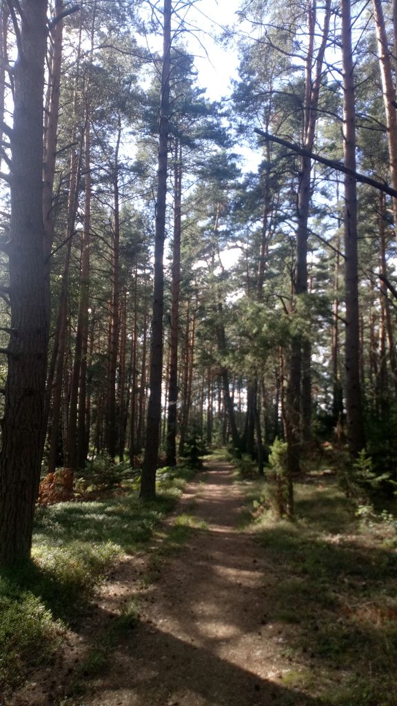 Моя поездка по Беларуси: Минск-Нарочь-Гродно-Брест-Барановичи-Несвиж