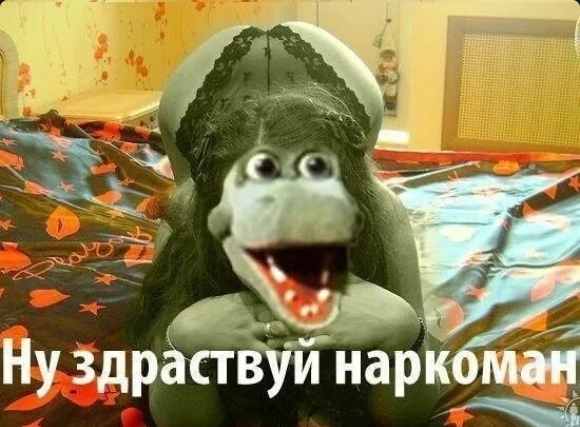 Вымя