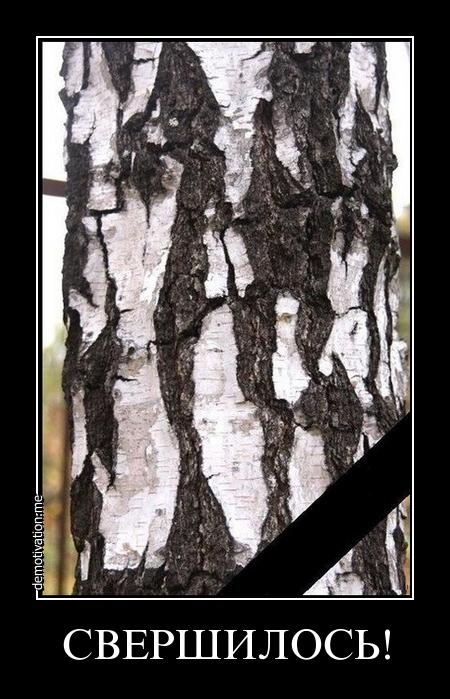 Березовский умер