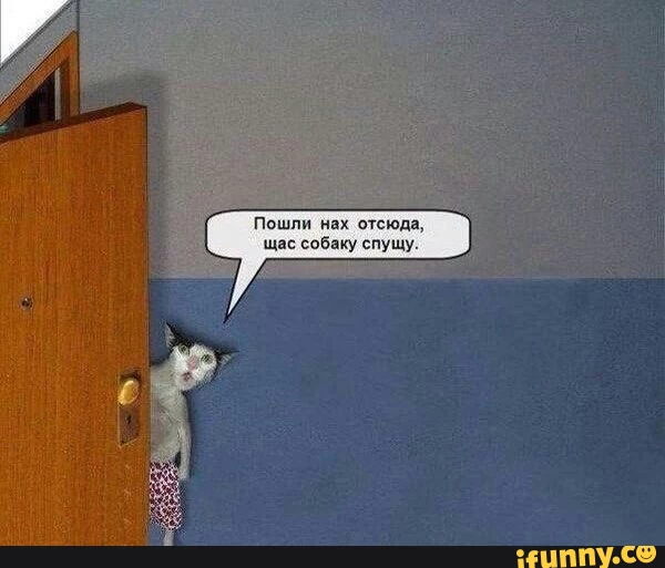 Собаковторник!