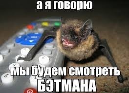 Мы в ответе за тех, кого приручили