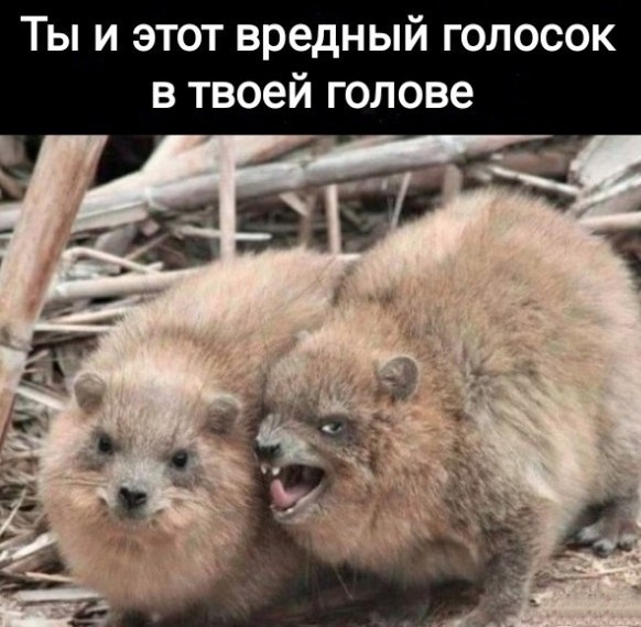 Начнем с картинок