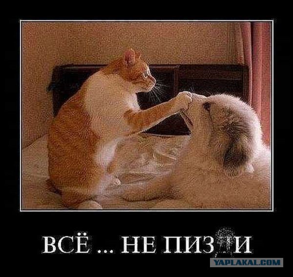 Пятая подборка самых баянистых баянов! Ностальгируем...