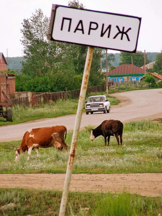 Прикольные картинки от мастера фотошопа