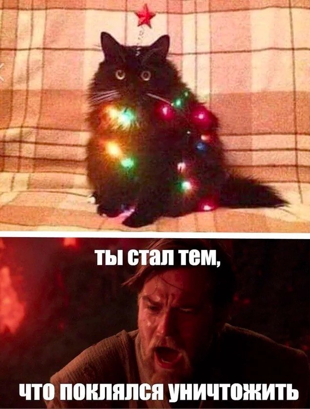 Нуштош 06.01.2024