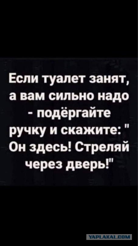 Тлидцать тли от 6 февраля
