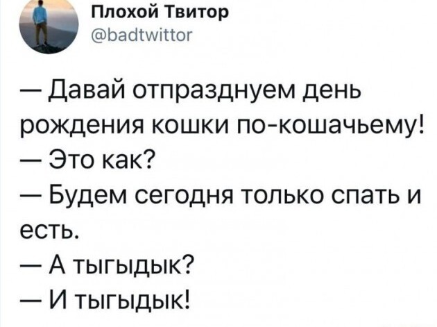 Жизнь домашнего приюта "Котоленд" 426
