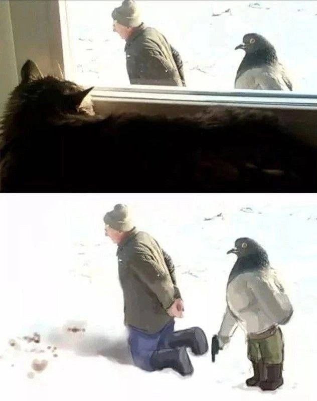 Быстрая деградация