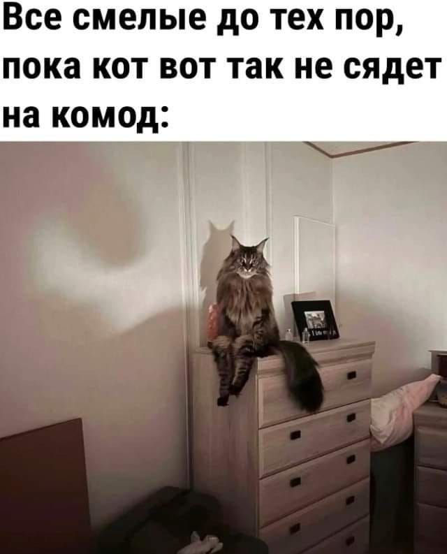 Весёлые картинки