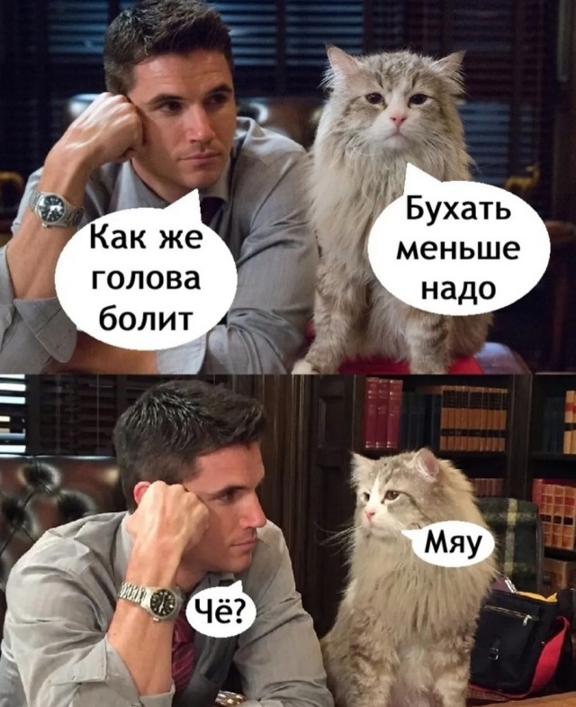 Весёлый полтишок 13.03.25