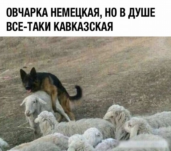 Картинки 23.04.25