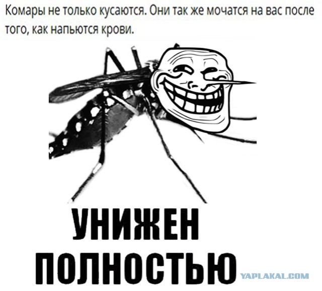 Всяки-разны картинки (немного)