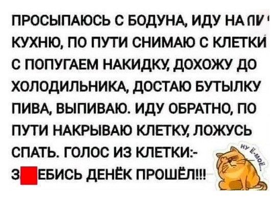 Картинки для деградации 54 (разной степени свежести)