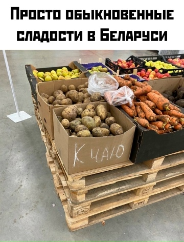 Картинки для деградации 66 (разной степени свежести)