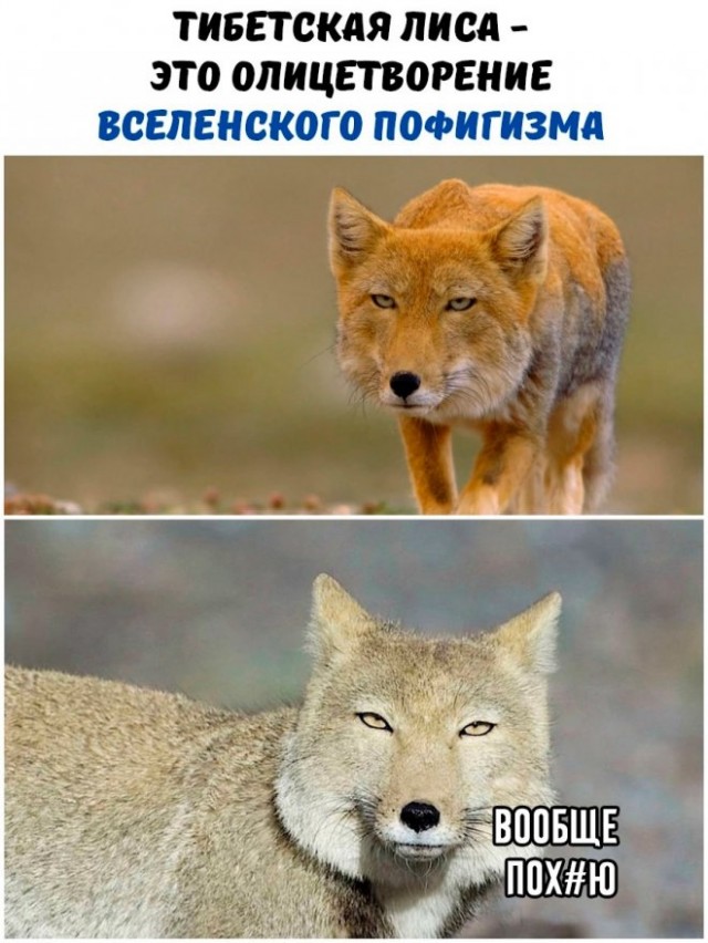 Воскресные картинки