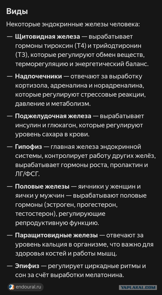 Развеиваем миф, что в СССР вдоволь-то и не ели и сравниваем с современностью