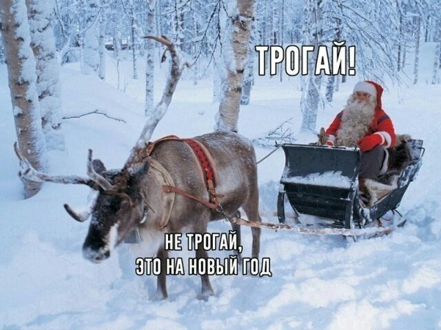 Сундук деграданта! Выпуск номер 13
