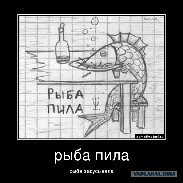 Рыба Пила Смешные Картинки