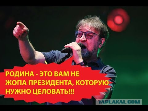 Стив Уиткофф назвал переводчика Путина Алексея Садыкова «легендой», а его голос — «лучшим на всей земле»