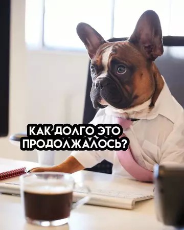 Картиночки, баянчики 16 апреля
