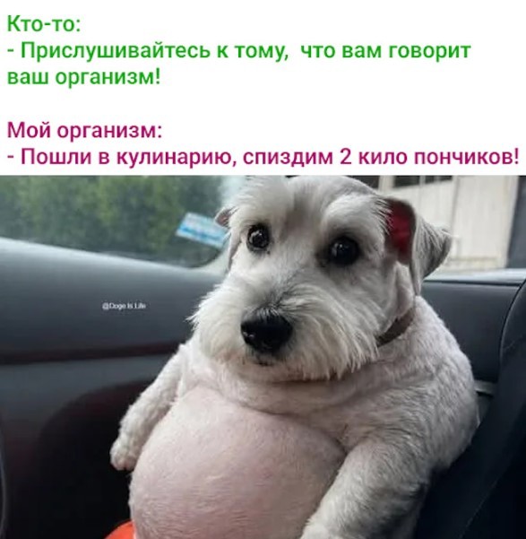 Так себе картинки 19.06.26