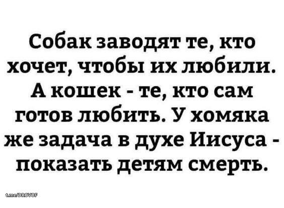Так себе картинки 08.07.26