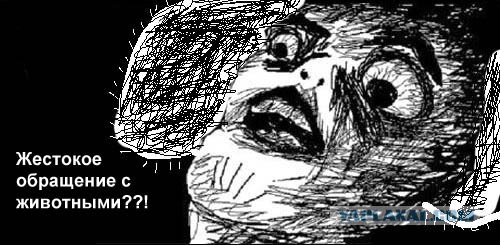 5 советских мультфильмов