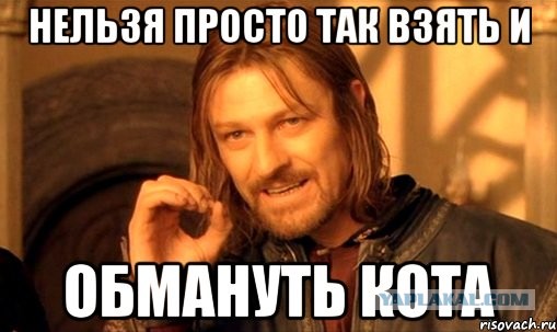 Не обманывай котэ