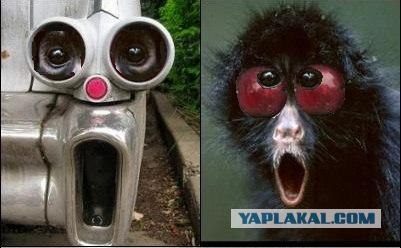Удивленные глаза