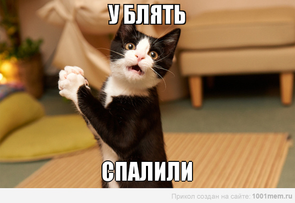 Чемпионат Мира 2014 Бразилия