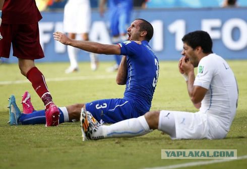 Чемпионат Мира 2014 Бразилия