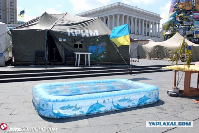 Социальный взрыв на Майдане.