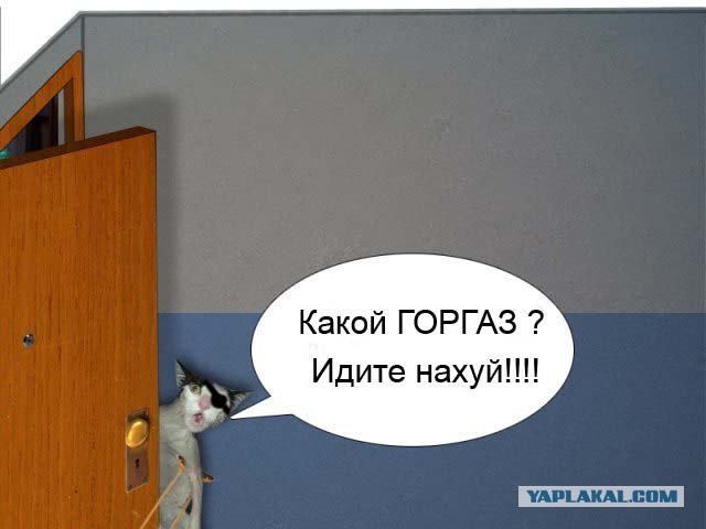 Фотожаба: чё те надо?