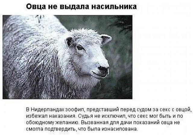 Смешные картинки, добавляйте свои!