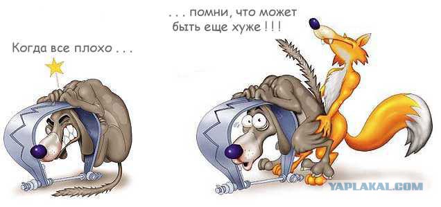 Юмор ниже пояса