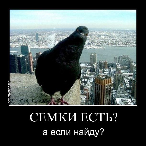 Такой наглости я еще не видел!