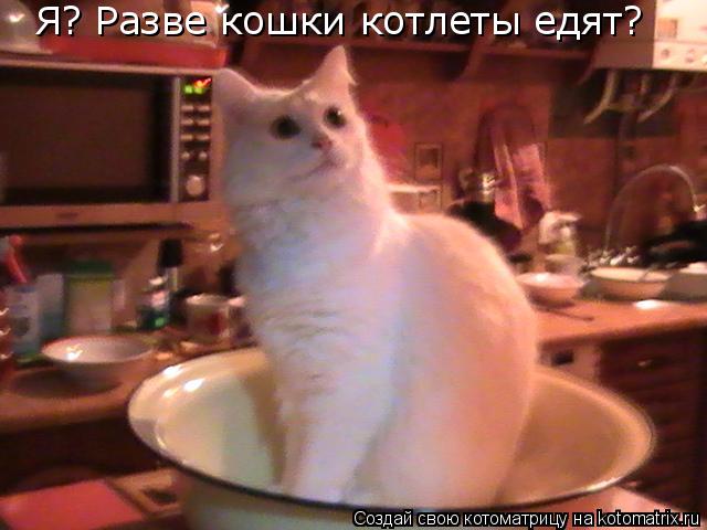 Любите котлеты?
