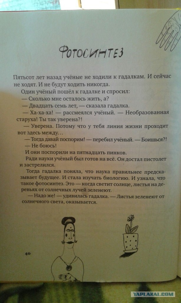 Жизнь как она есть...