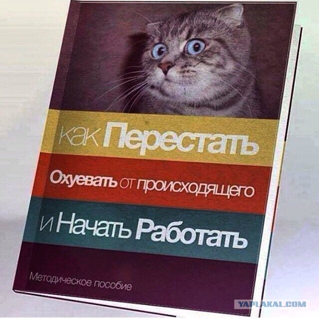 Цены в российских магазинах вырастут на 10%