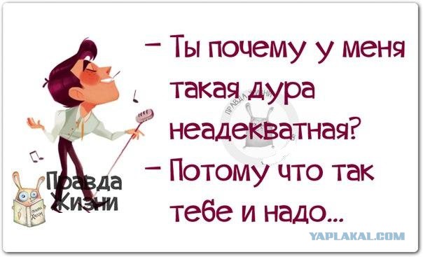Картинки и приколы из соцсетей