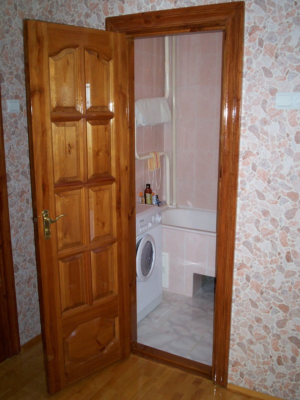 Дневник московского гастарбайтера