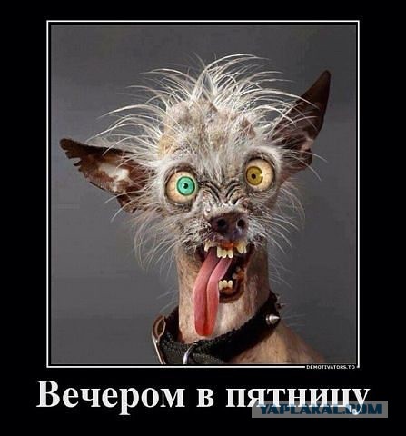 Пятница, наконец то! Начнем? Кто уже могет?