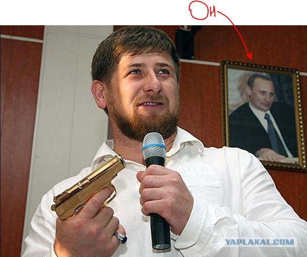 Шакалы будут наказаны по закону РФ
