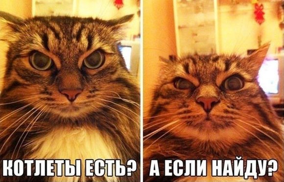 Подборка Картинок из сети